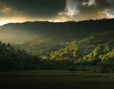 Discover Laguna’s Beauty: A Comprehensive Guide to Philippine Travel