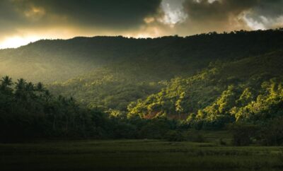 Discover Laguna’s Beauty: A Comprehensive Guide to Philippine Travel