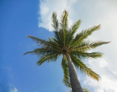 Laguna Philippines Travel Guide: Top Destinations & Hidden Gems