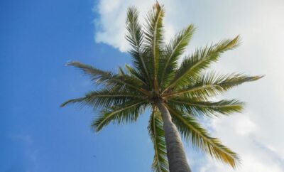 Laguna Philippines Travel Guide: Top Destinations & Hidden Gems